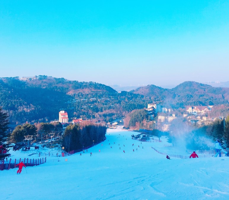 Enjoy Ski In Korea Enjoy Ski trip in Korea, take ski lesson in Korea
