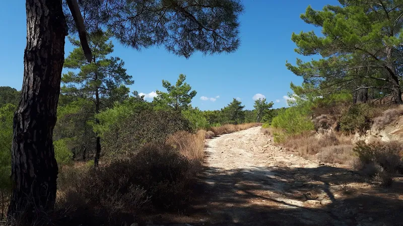 Track leading deeper into the hills