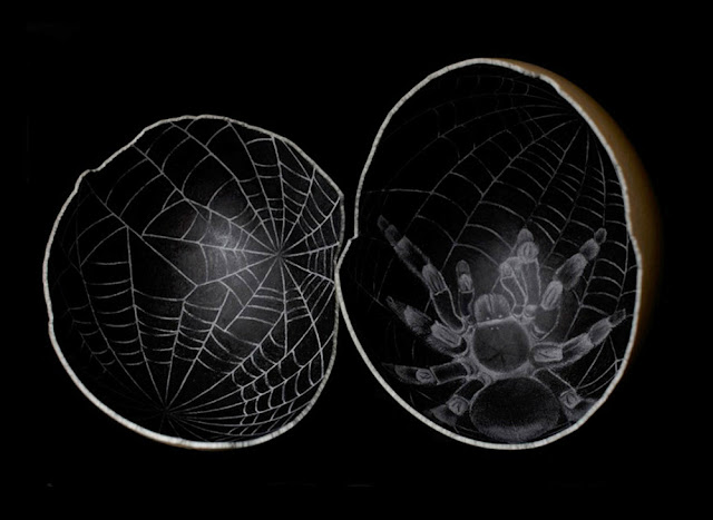 spiderweb illustration on eggshell