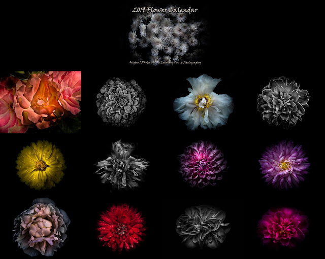 The Learning Curve Photography 2019 Flowers Calendar