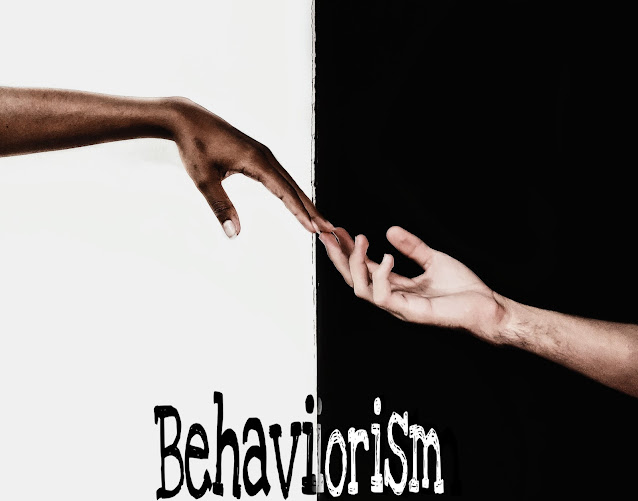 Behaviorism by the top Articles saeed ali lakho | behaviour