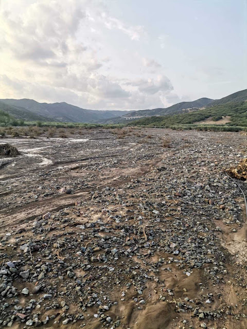 IMG 4101 | Lamianow.gr