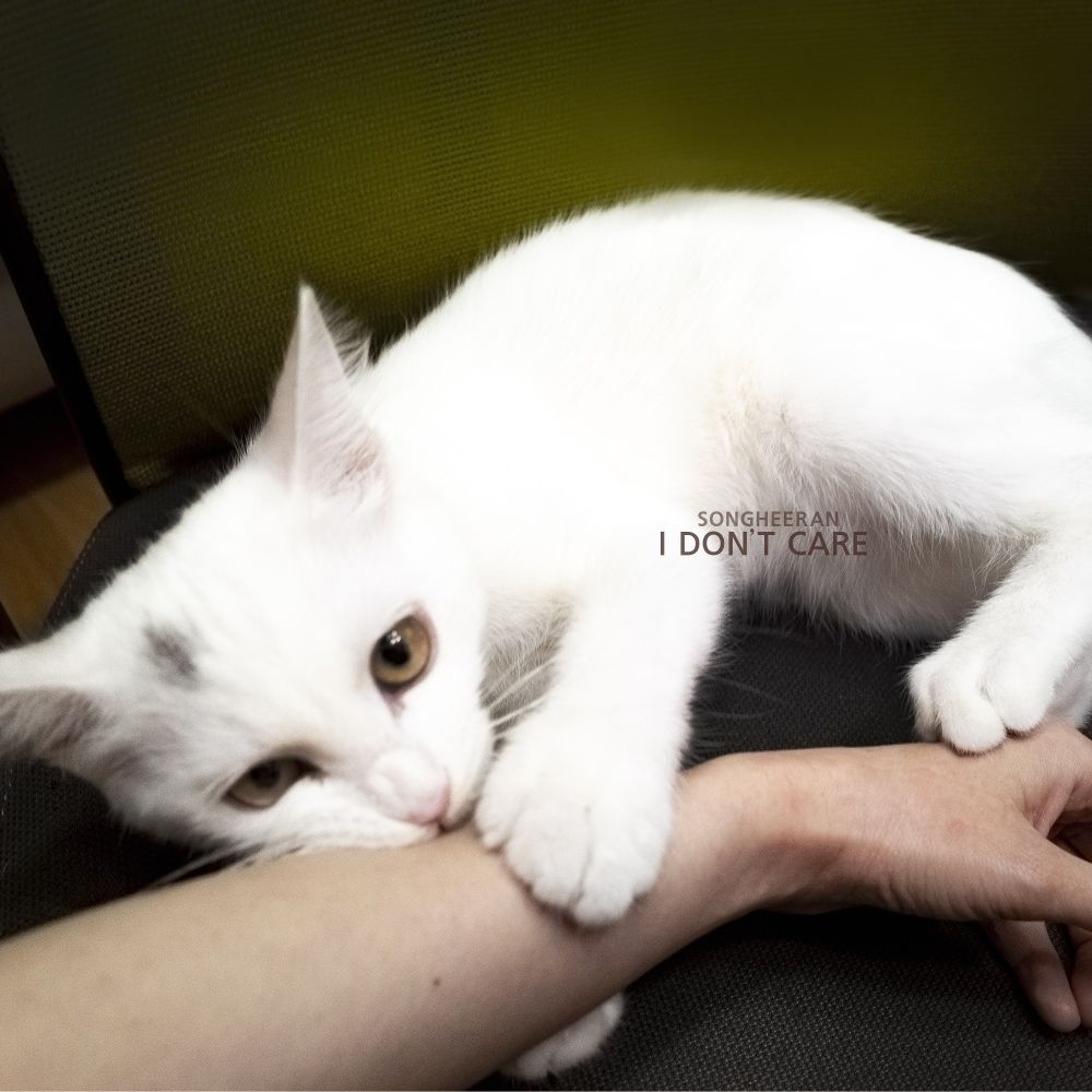 Song Hee Ran – I Don`t Care – Single