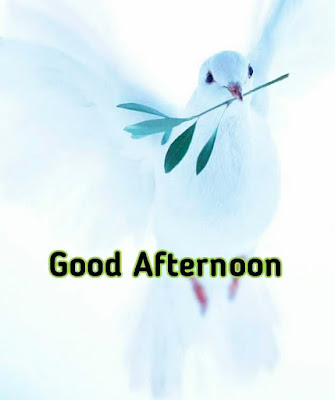 New Good Afternoon Images For WhatsApp