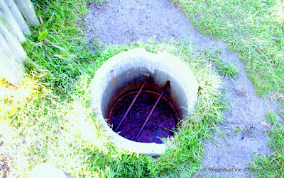 source du petit saladi des martres de veyre, puy de dôme.