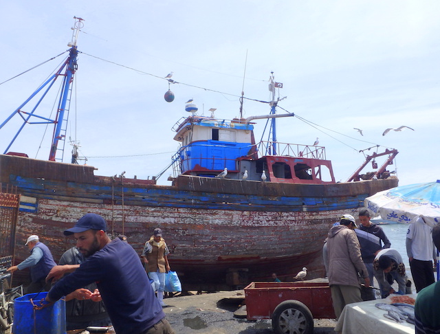 Essaouira fishing harbor, Morocco Essaouira fishing harbor, Morocco