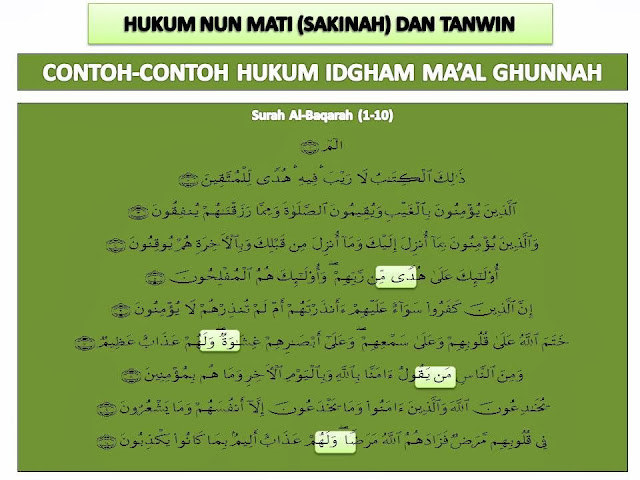 ILMU ALQURAN Contohcontoh Hukum Idgham Ma�al Ghunnah