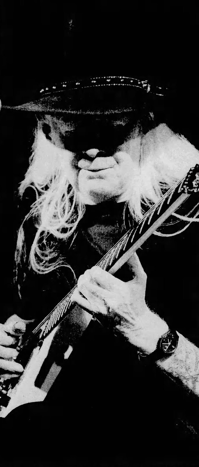 johnny winter grave johnny winter grave