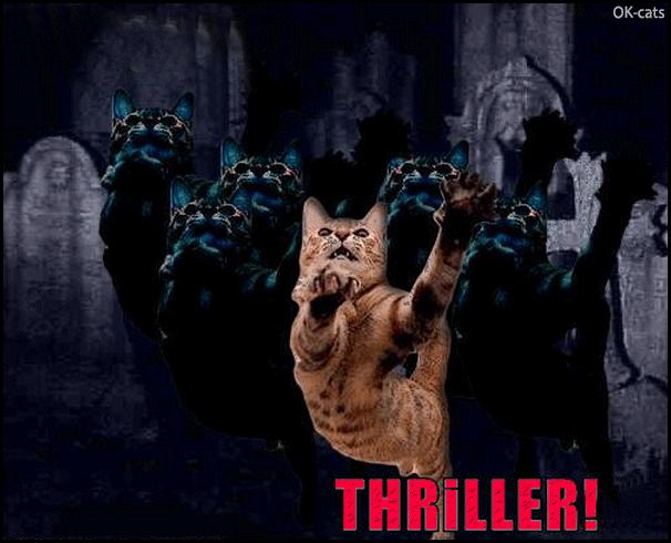 Art GIF with caption • Scary feral cats dancing THRILLER with Meowchael Clawckson Art GIF with caption • Scary feral cats dancing THRILLER with Meowchael Clawckson
