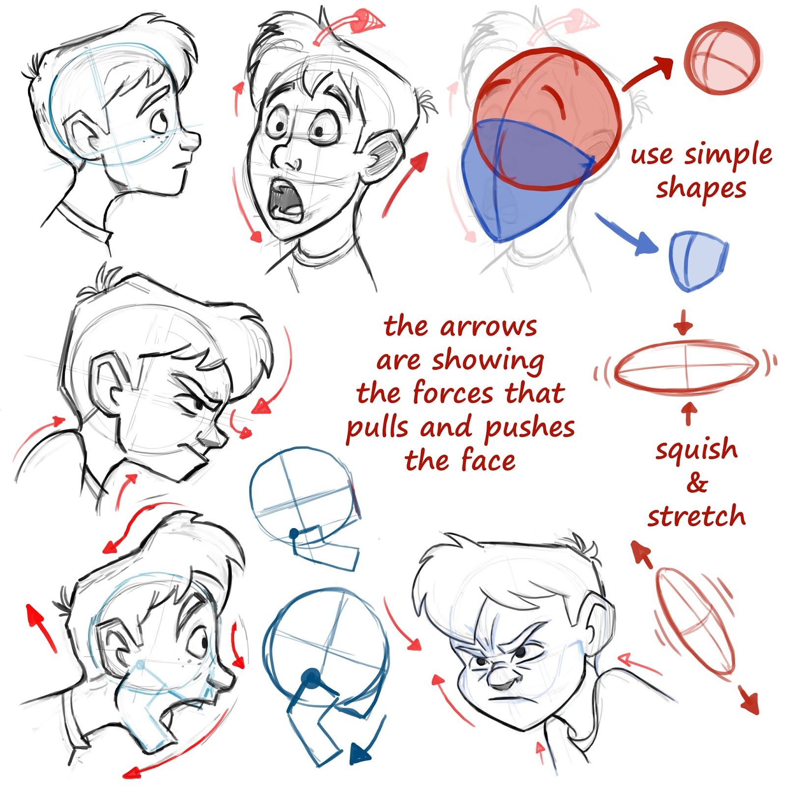 Learning drawing principles: face