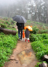 A July jaunt in Cecilia Park