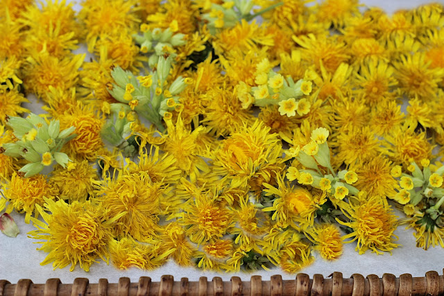 Leckeren Lowenzahn Honig Selbermachen Mit Liebe Zum Detail