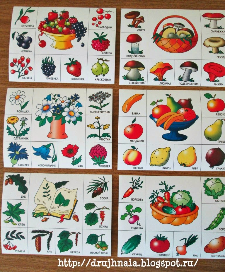 Правила игры в детское лото с картинками