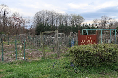 the Annandale Blog: Gardeners urge Park Authority to reopen community