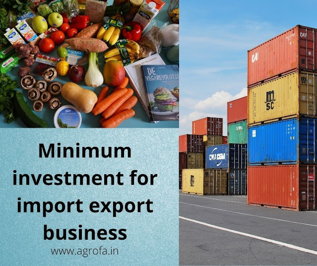 Minimum investment for import export business