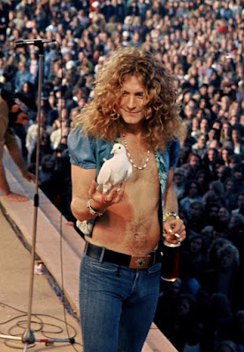 Robert Plant of Led Zeppelin holds a pigeon  that flew into his hand while on stage, 1973