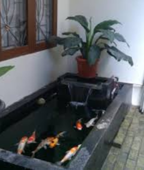 Contoh Hiasan Rumah Minimalis Terbaru Yang Unik Toko Hiasan