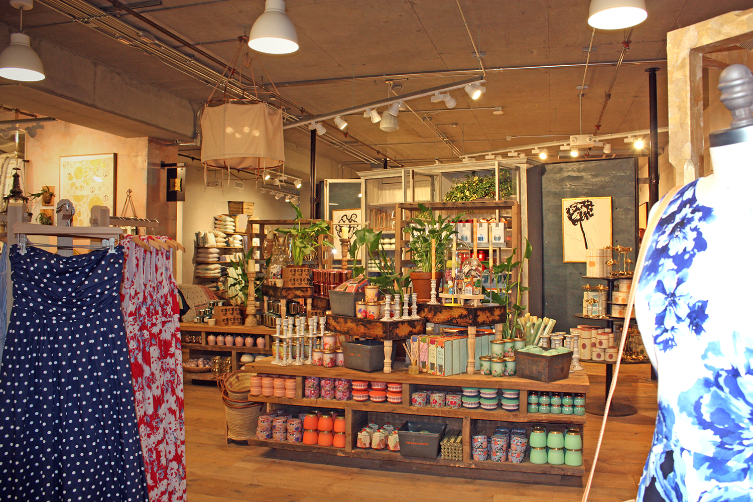 Effortlessly with roxy Discovering the Portland Anthropologie