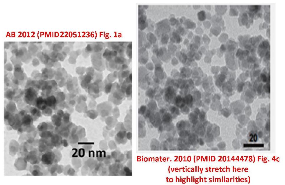 Dr. Sanjeeb Kumar SahooDual drug loaded superparamagnetic iron oxide nanoparticles for targeted cancer therapy.