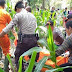 Geger! Seorang Ibu Ditemukan Meninggal di Ladang Jagung