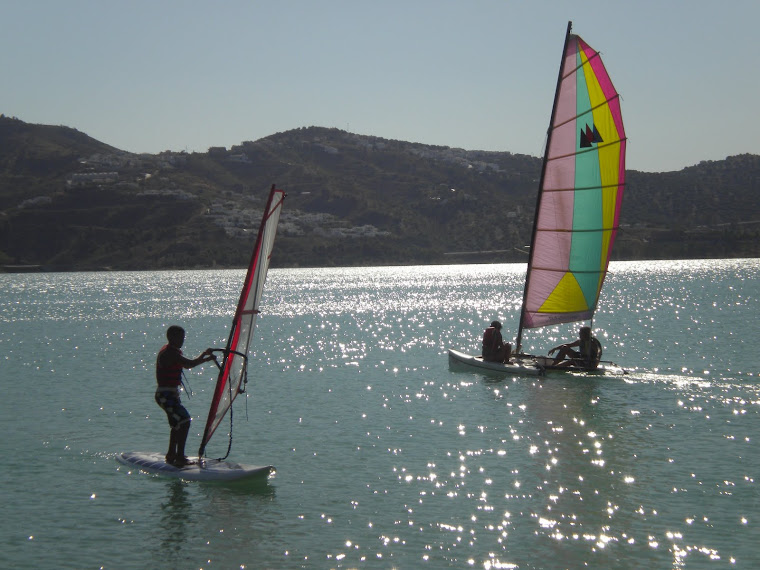 Cursos de cata y de windsurf