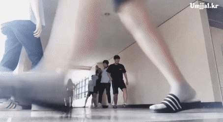 umjjal_kr_426.gif