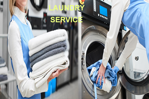 thesis about laundry service