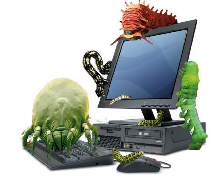 Qué son los bugs