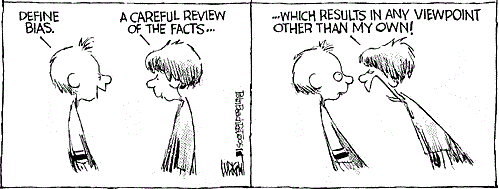 cartoon; panel one, person one says: "Define bias." Person two says, "A careful review of the facts..." panel two, person two leaning into person one angrily, says, "...which results in any viewpoint other than my own!"