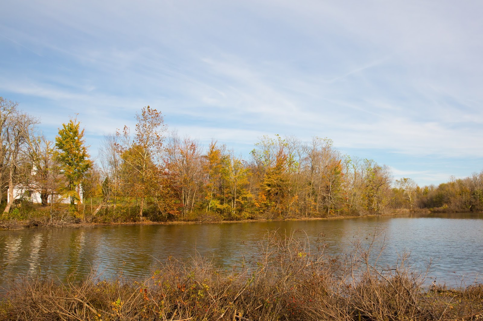 Lincoln's Domain Cecilia, Kentucky