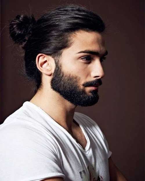 Ponytail Hairstyle For Man Hairstyles
