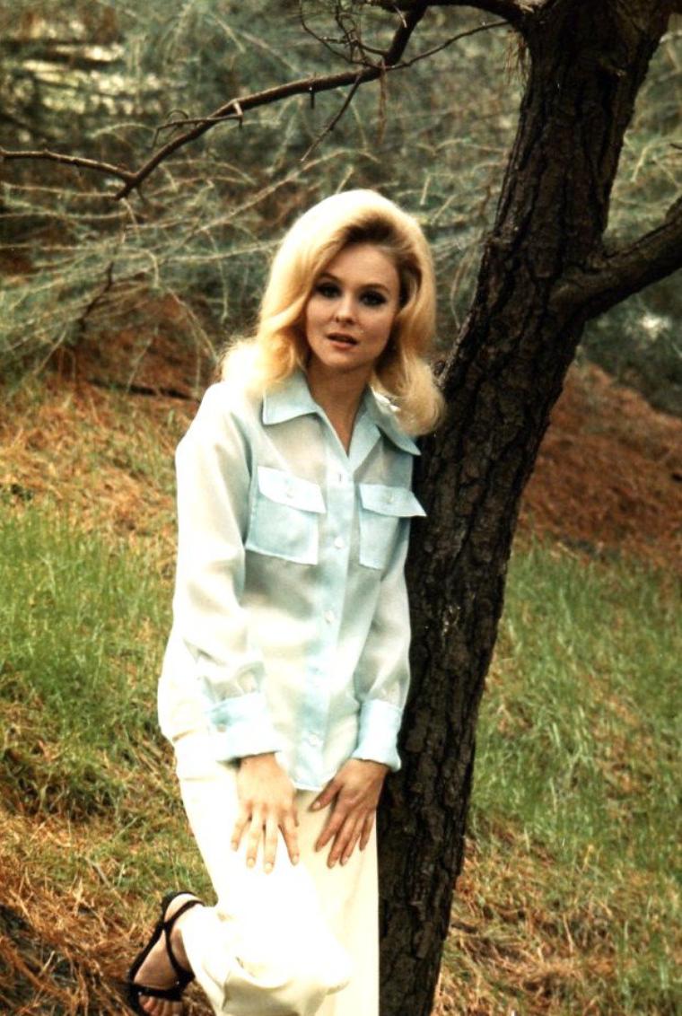 Slice of Cheesecake Diane McBain, pictorial