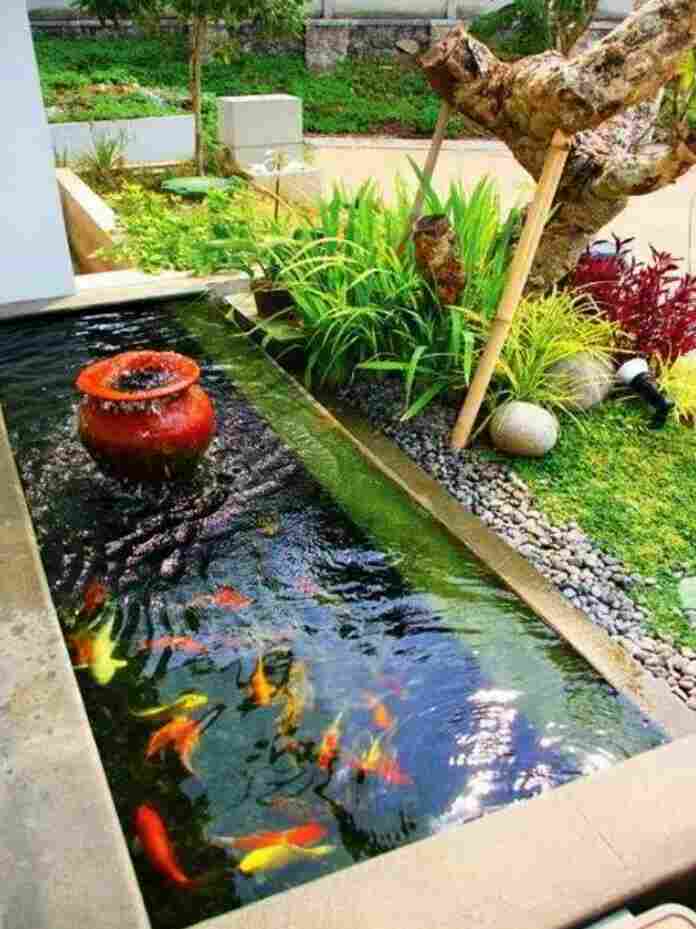Kolam Ikan Depan Rumah Lahan Sempit : ãƒ„ 13 Desain Kolam Ikan