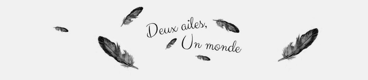 Deux ailes, un monde