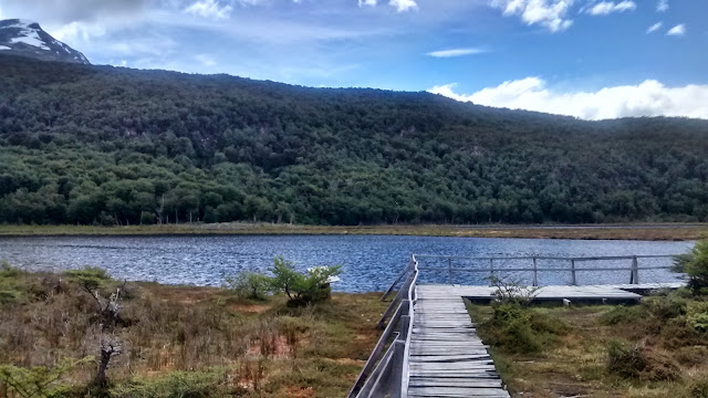 turbal ushuaia parque nacional tierra del fuego trilhas