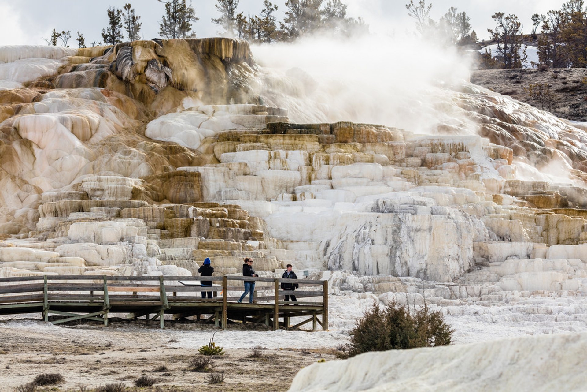 Mammoth Hot Springs Complex USA
