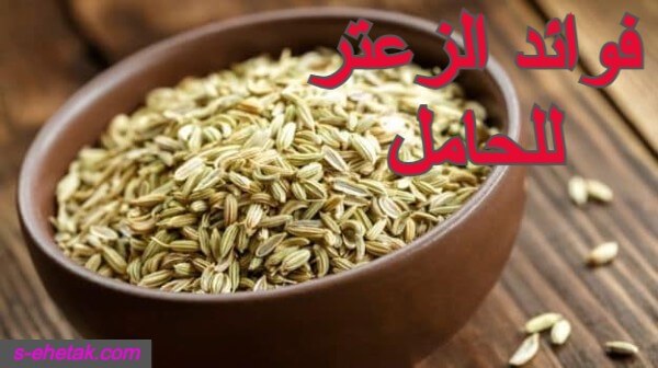 فوائد الزعتر للحامل فوائد الزعتر للحامل