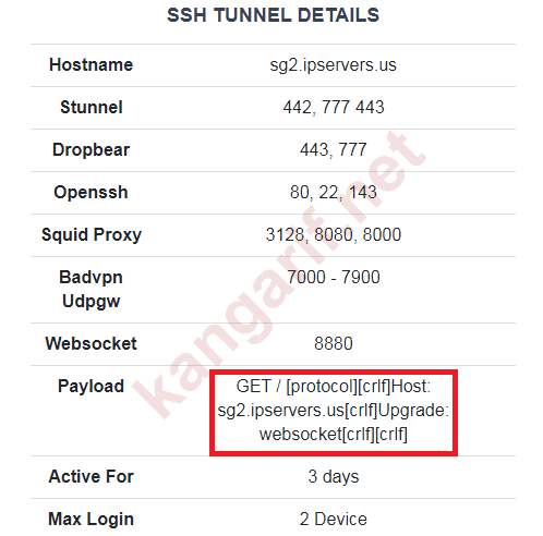 free ssh websocket free ssh websocket