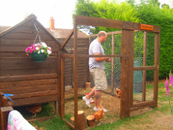 chicken coop building build truths plans money learn