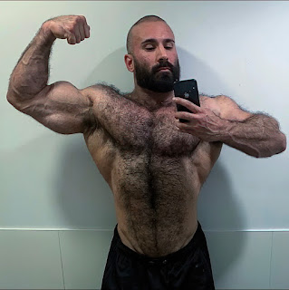 Daddy Bears & Hairy Hunks for the Furryfan