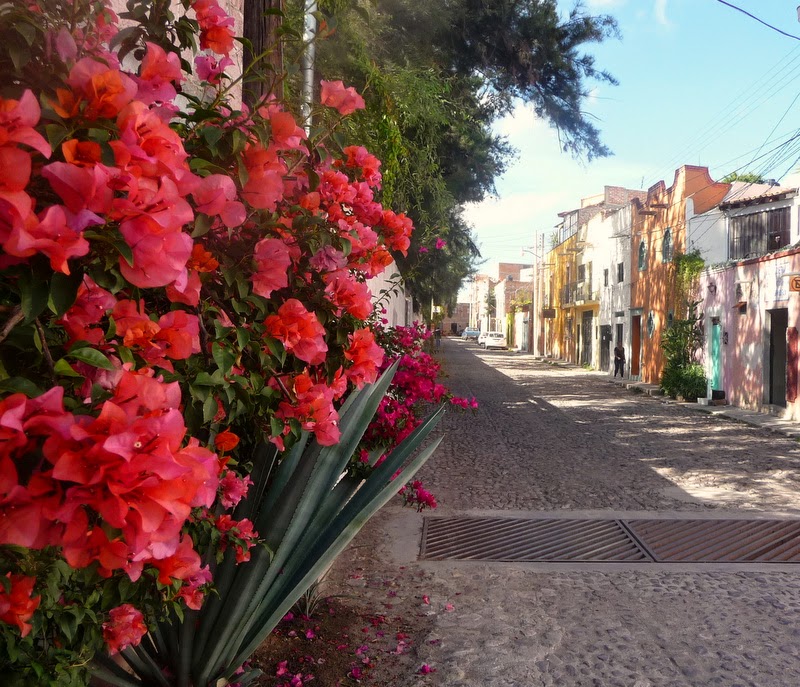 BABSBLOG Most Expensive City to Live..... in Mexico!