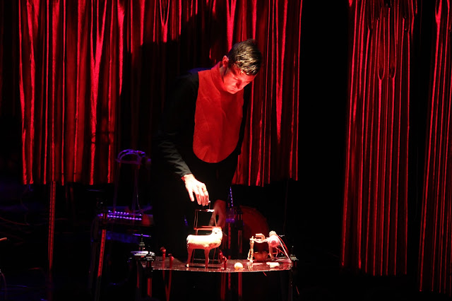 The Assembly of Animals-teraSeni The Assembly of Animals-teraSeni