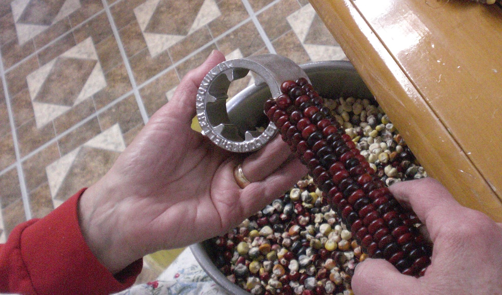 A Home Grown Journal Shelling Corn