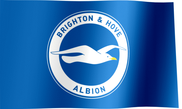 [Image: Brighton_%2526_Hove_Albion_FC_flag.gif]