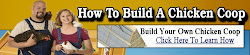 coop chicken plans guide venture entire enjoy build own fun