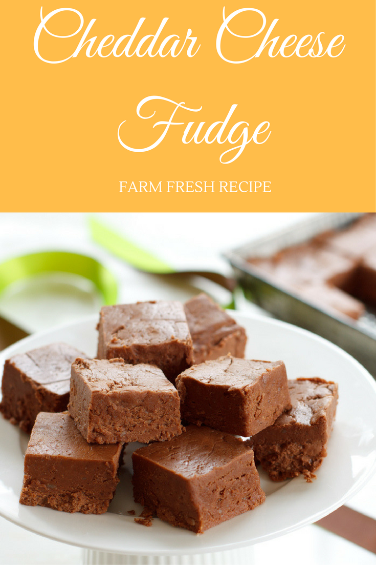 MOMMY BLOG EXPERT Cheddar Cheese Holiday Fudge Recipe Perfect Candy