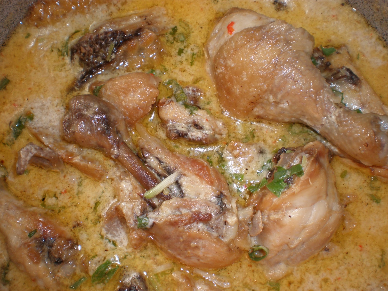 4fn1mf-family: Ayam Masak Lemak Cekur Versi Jawa