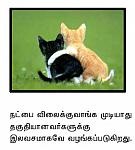 Natpu Kavithai Tamil Friendship Kavithai Vairamuthu Varigal Pirivu Hd Photos Images