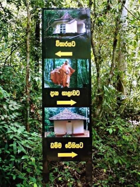 තුරුලතා වලින් වටවුණු - බෝධිනාගල ආරණ්‍යය 🙏 (Bodhinagala Forest Hermitage) - Your Choice Way