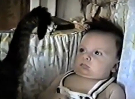 Video : 猫の怪しい妖術に負けまいと抵抗する赤ちゃん ! !